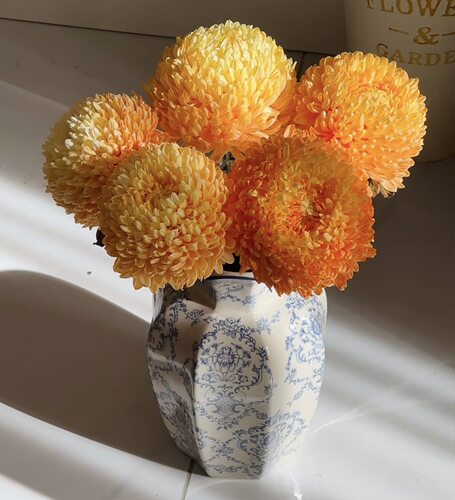 牡丹菊.爱马仕橙5枝不包邮