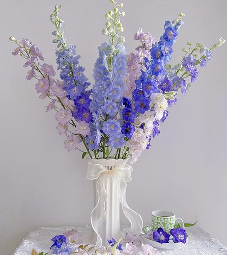 ck大飞燕.混色60-70cm不包邮