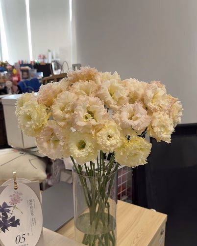 花沫儿桔梗.气泡香橙800g不包邮