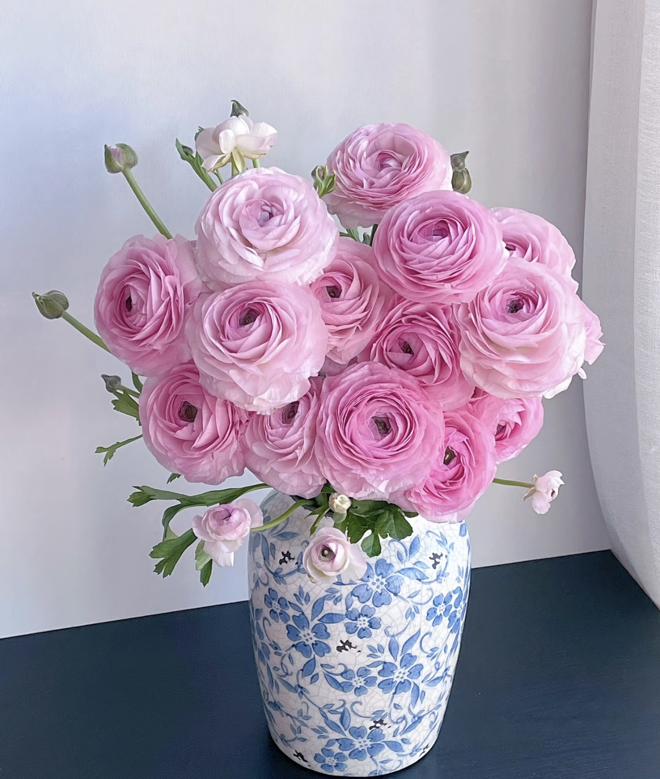 日系洋牡丹.塞纳河2扎不包邮