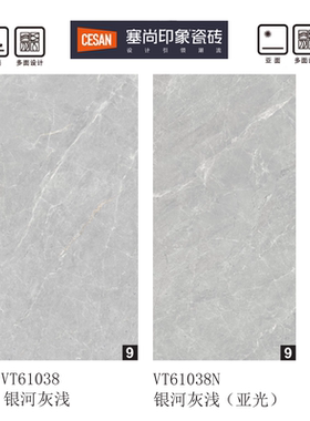 诺贝尔瓷砖 塞尚印象 VT61038亮光 VT61038N哑光 银河灰浅