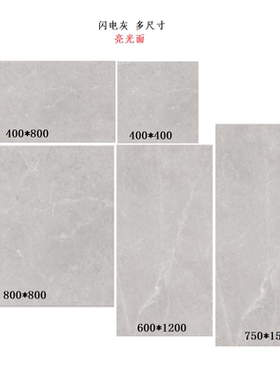 诺贝尔瓷砖 闪电灰 NJZR0804006L 1206006L 0808006L 1507006L
