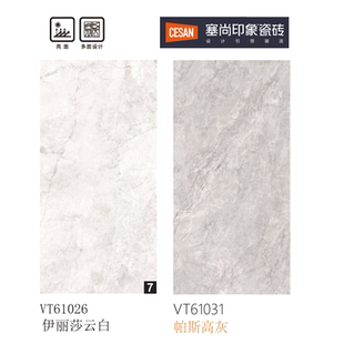 塞尚印象 帕斯高灰 伊丽莎白 VT61026 VT61031 云白 诺贝尔瓷砖