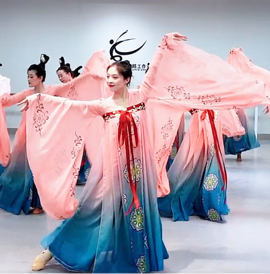 国色行歌舞蹈服装汉服古装成人古典舞飘逸丽人行汉唐舞蹈演出服女