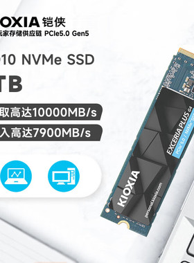 铠侠VD10固态硬盘 电脑台式机笔记本m.2铠侠VD10 1TB 2T PCIE5.0
