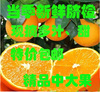 现摘脐橙秭归当季榨汁新鲜水果甜橙子手剥薄皮10斤孕妇宝宝|ru