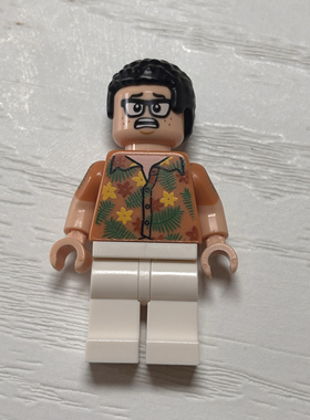 LEGO乐高 侏罗纪世界人仔 jw053 丹尼 75938