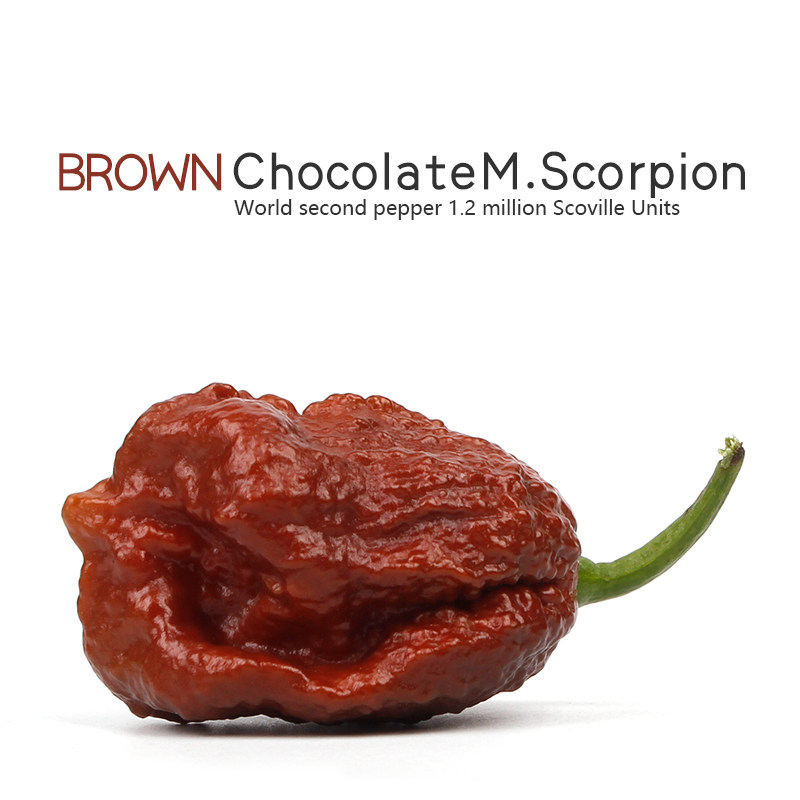 特立尼达蝎子辣椒Trinidad Moruga scorpion可做辣条变态辣度|msdalam kategori penghantaran bunga/bunga simulasi/tumbuhan berkebun, bunga tiruan/tumbuh-tumbuhan hijau/Buah-buahan dan sayur-sayuran siap (baru), Simulasi buah-buahan dan sayur-sayuran - dari Buy2taobao.com untuk memberikan perkhidmatan ejen Taobao profesional membeli