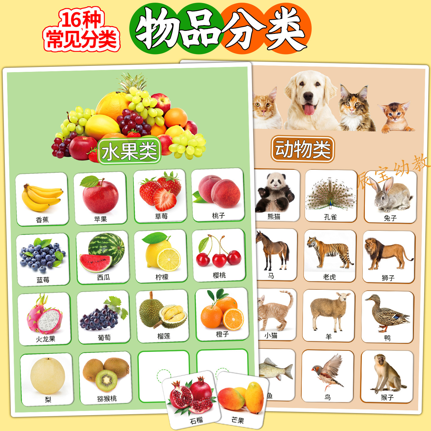 物品分类幼儿园宝宝早教认知学习卡片思维儿童发育迟缓益智教具