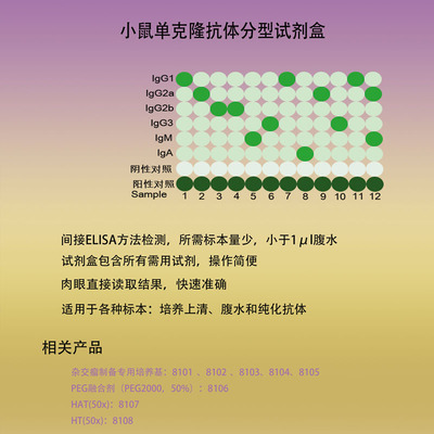 小鼠试剂盒单克隆抗体免疫球蛋白