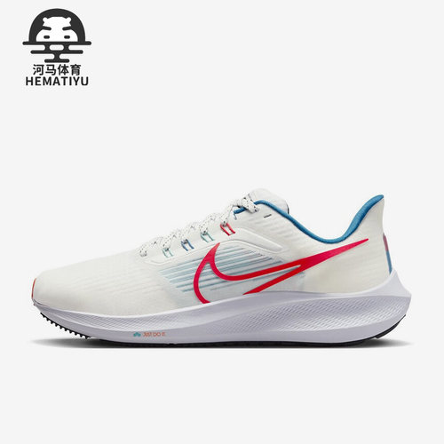 Nike/耐克正品男子跑步鞋