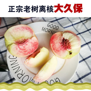 久保桃子水蜜桃离核桃子水果新鲜应季现摘五斤脆甜桃正宗老久保桃