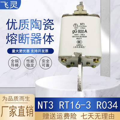 飞灵NT3800A保险丝管