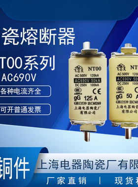 飞灵熔芯体NT00-gG160A 125 100A80A63A DC250V 690V上海电器陶瓷