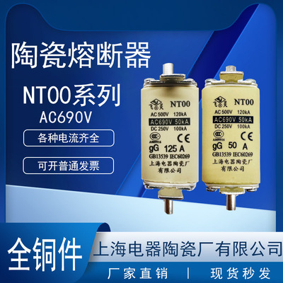 飞灵熔断器NT00熔芯体
