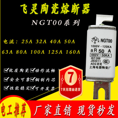 飞灵 陶瓷熔断器NGTOO熔芯NGT00保险丝管25A 32A 40A 50A 63A 80A