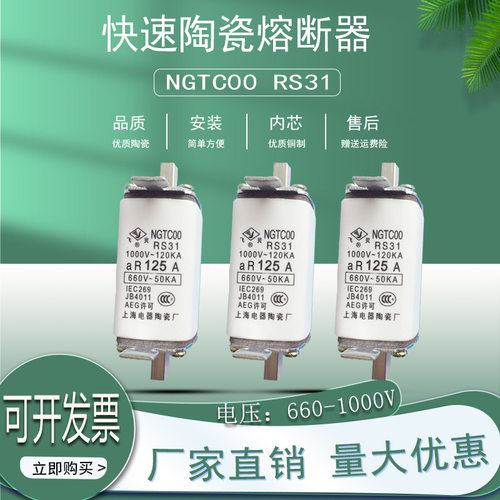 保险丝管熔断器飞灵RS31