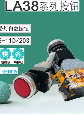 江阴长江 LA38-11D/203 带灯按钮 平头自复位 自锁开关 220V 380V