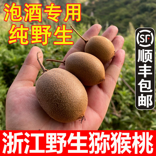 正宗浙江嵊州野生猕猴桃新鲜孕妇水果小弥猴桃当季奇异果泡酒藤梨
