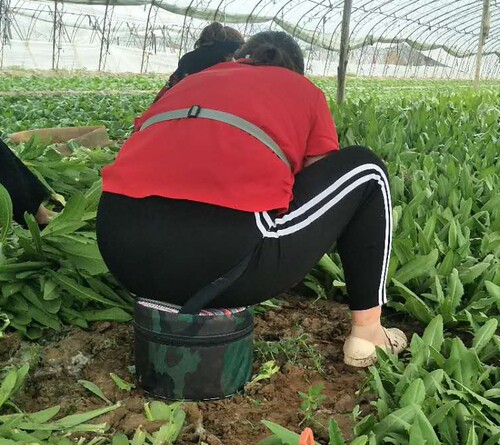 农活泡沫凳子塑料随身移动轻便