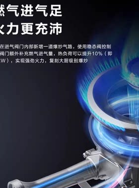 华帝燃气灶8C20 家用双眼煤气灶4.8KW火力3D进风童锁
