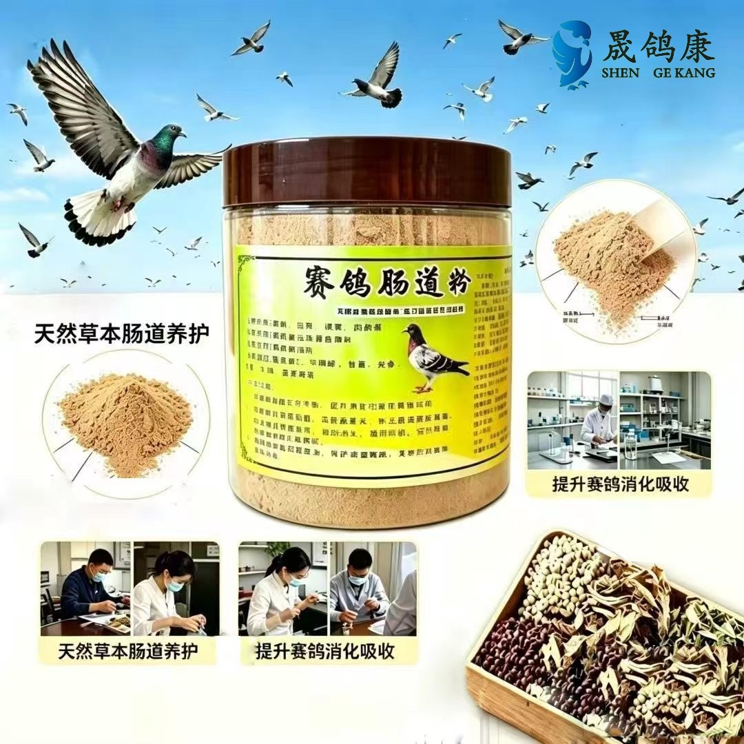 台湾鸽子肠道中药粉信鸽赛鸽鹦鹉绿便水便改善肠道呼吸道病毒
