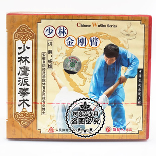 主讲 俏佳人正版 少林金刚臂1VCD 少林鹰派拳术系列 杨维 武术碟片