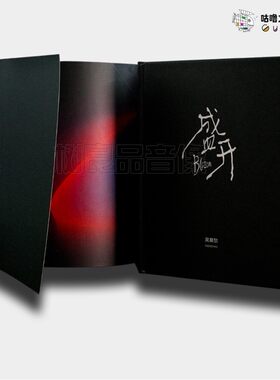 正版专辑 吴莫愁 盛开 CD碟片+歌词本