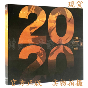 官方正版 专辑唱片 2020 歌词本 汪峰 全新