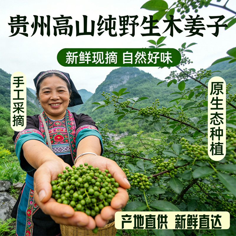 贵州盐泡新鲜野生木姜子