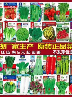 蔬菜种子四季播盆栽阳台庭院黄瓜豆角番茄甜瓜简单春易种籽孑大全