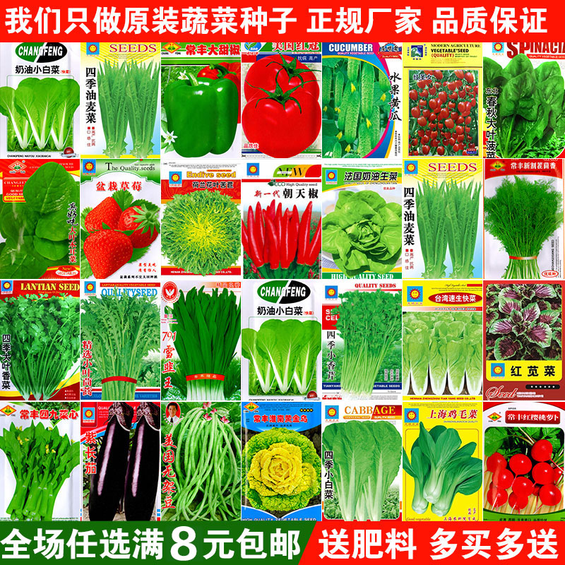 四季股票K線套利