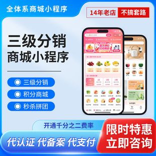 微信小程序商城三级分销商城制作开发公众号商城新零售链动2+1