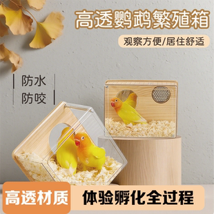 鹦鹉透明繁殖箱虎皮牡丹专用孵化鸟窝保温箱挂窝鸟笼配件鸟巢保暖