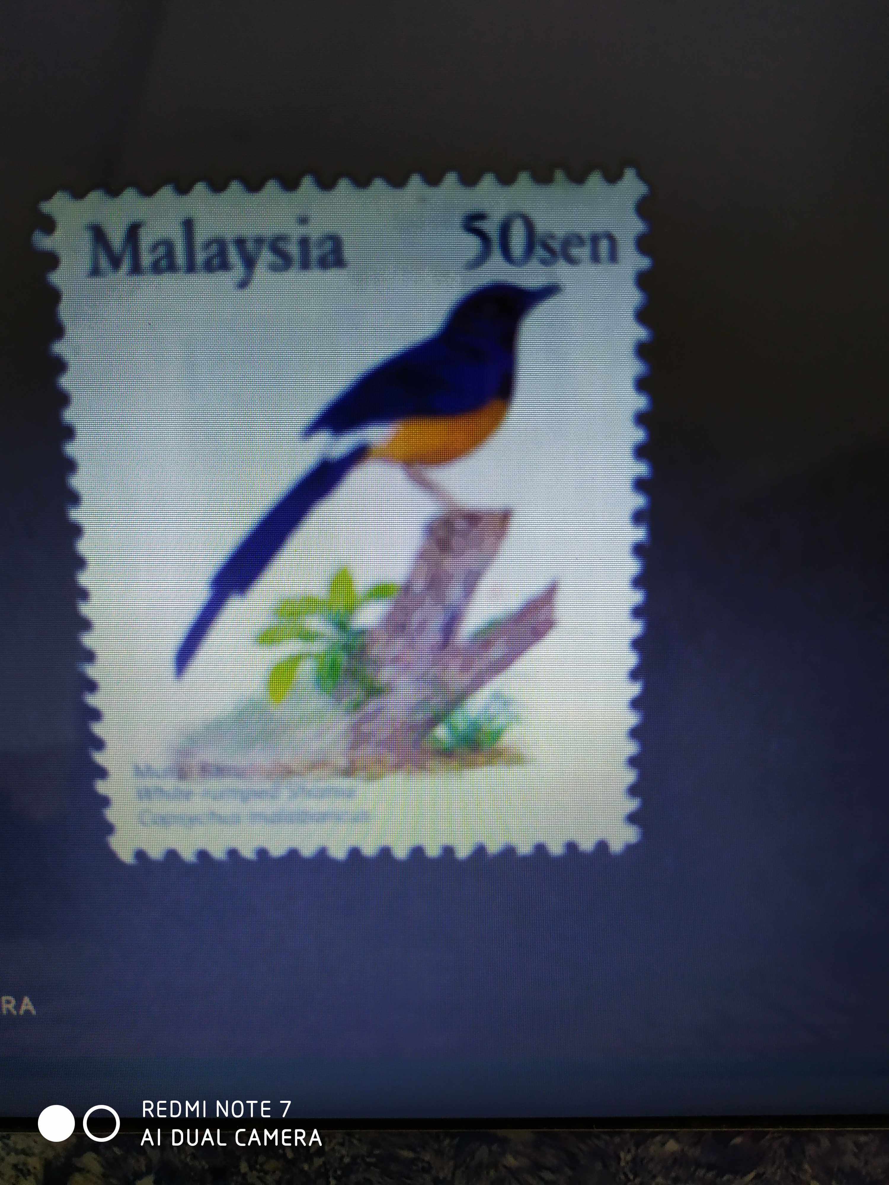 马来西亚2005年鸟邮票4新