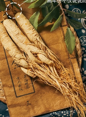 长白山整枝人参 足干 5支约100g 正宗集安边条参 须毛完整