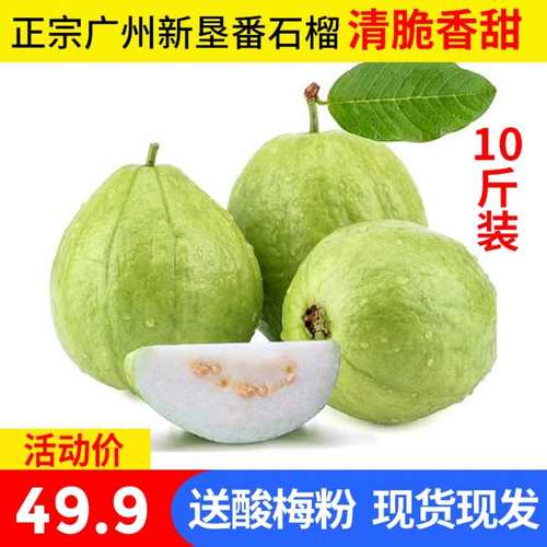 新季水果新鲜清脆包邮10斤番石榴