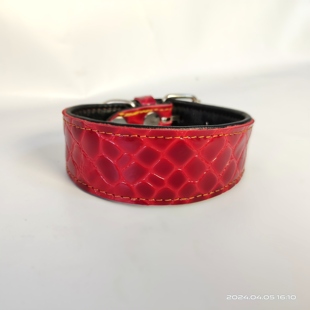 双层牛皮项圈宠物狗猎犬意大利小灵缇贵马尔济斯雪纳瑞柯基惠比特