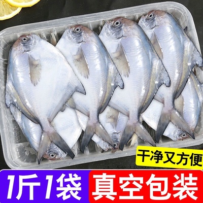 银鲳鱼海捕深海鱼新鲜鲜活海鲜冷冻白鲳平鱼昌海鲜水产镜鱼平鱼