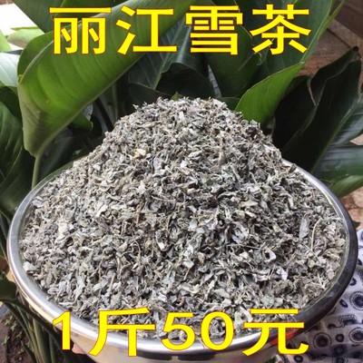 丽江木府苍山马帮雪茶