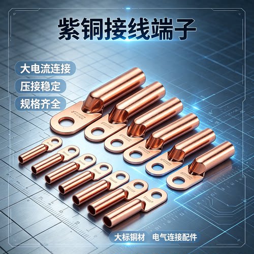 DT铜鼻子接线端非标堵油接头