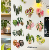 妮斯特·原创绿植旋转冰箱贴磁贴2026新款 个性 创意热植文创高级感
