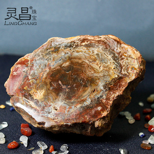 灵昌天然树化石摆件原石皮木化玉硅化木实物木化石原矿把玩摆台垫