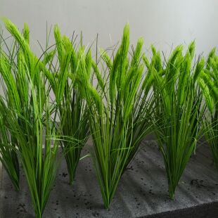 高仿真青稞麦子小麦大麦麦穗  假花植物麦田装饰道具麦穗道具教具