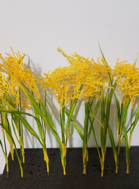 微景观稻田30CM仿真稻草稻穗穗头  自做稻谷背景墙假麦子模型麦田