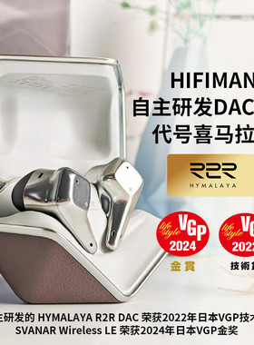 HIFIMAN海菲曼Svanar Wireless大天鹅真无线蓝牙耳机降噪豆入耳式