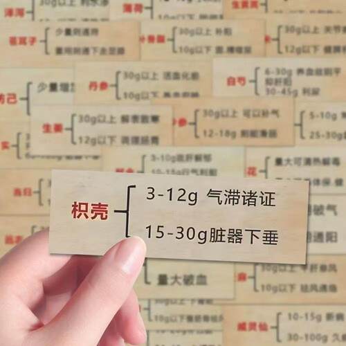 文字中医药学习考研手帐笔记贴纸