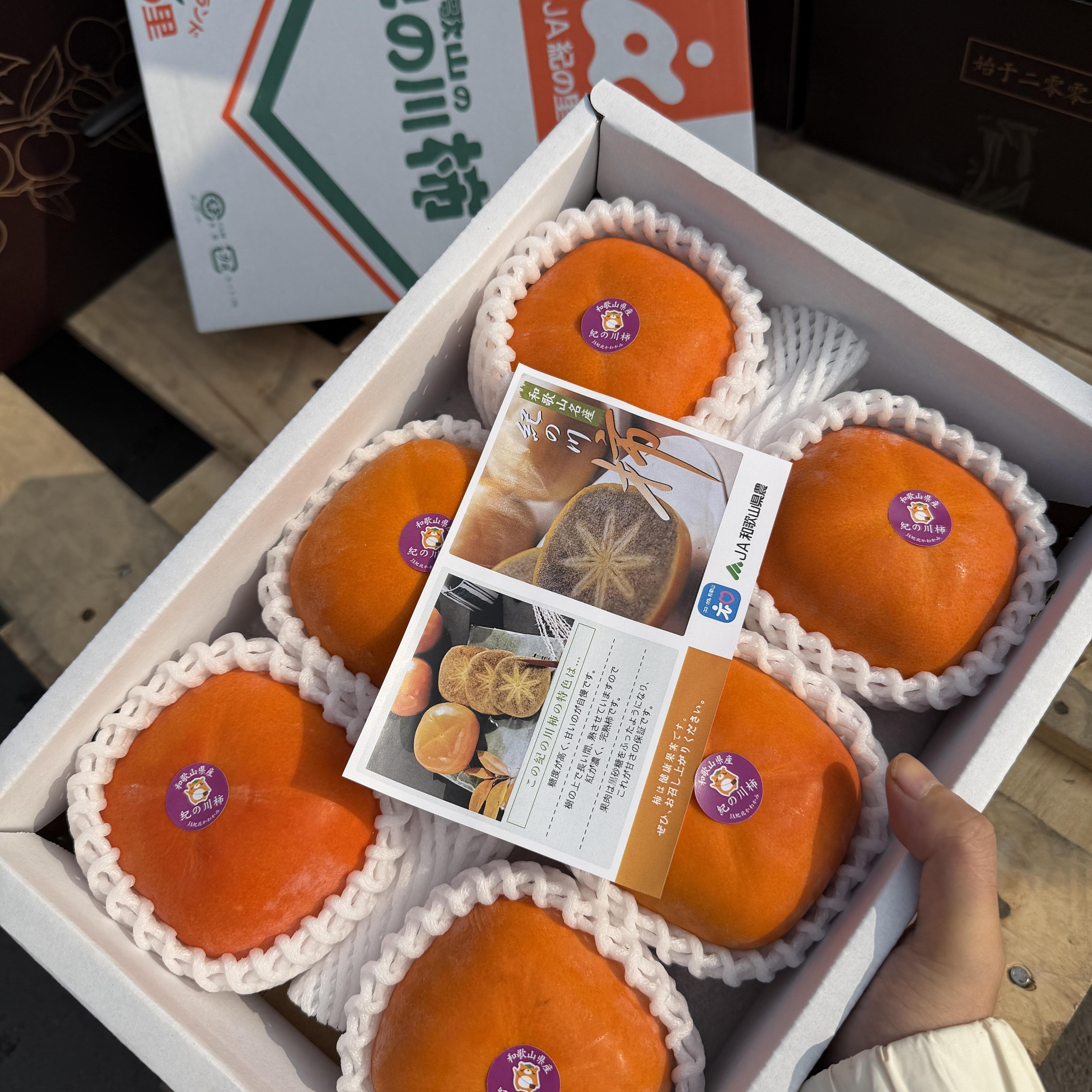 和歌山黑糖柿子黑甘柿黑金脆甜柿黑心纪之川柿6粒礼盒顺丰包邮