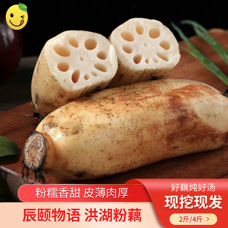 辰颐物语洪糊粉藕新鲜莲藕煲汤九孔藕湖北特产红藕湖藕糯米藕蔬菜