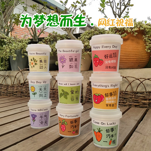 植物生长观察盒diy儿童迷你盆栽